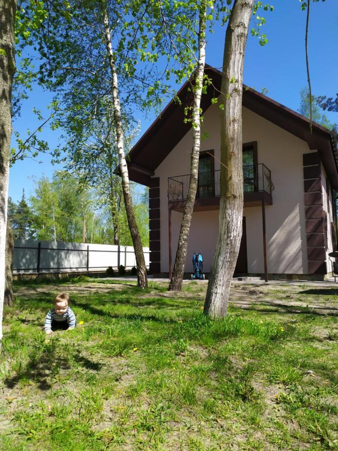 Чорний Лелека Svityaz' Exterior photo