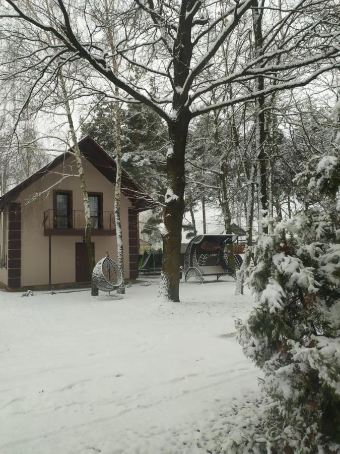 Чорний Лелека Svityaz' Exterior photo