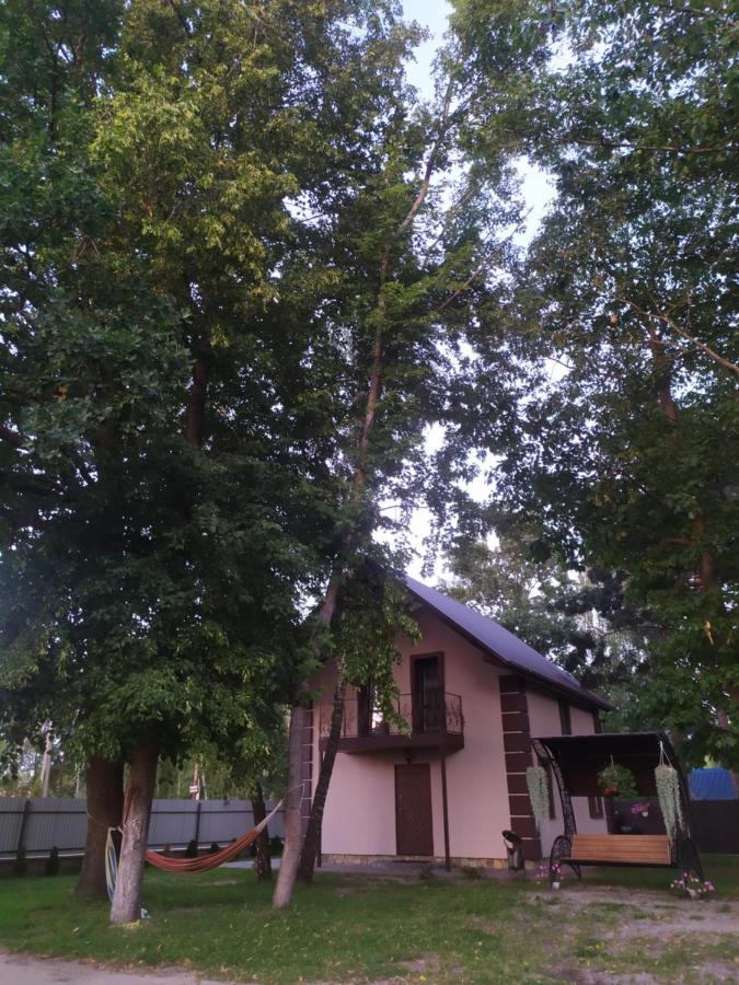 Чорний Лелека Svityaz' Exterior photo